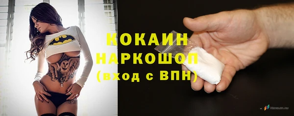 соль ск Алзамай