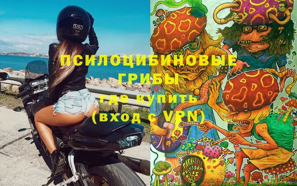 прущий лед Пересвет