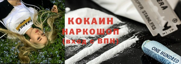 соль ск Алексин