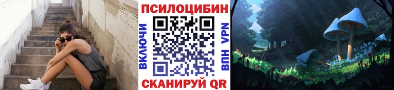 darknet официальный сайт  Отрадная  Галлюциногенные грибы Magic Shrooms 