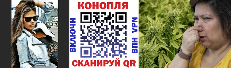 Марихуана конопля  магазин  наркотиков  MEGA рабочий сайт  Отрадная 